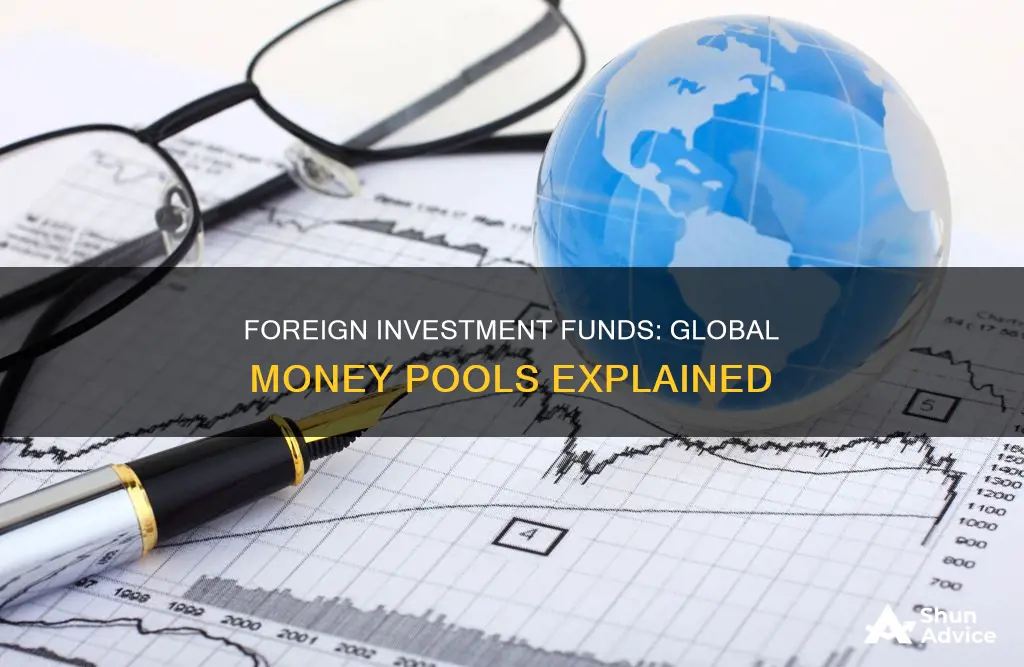 what is a foreign investment fund