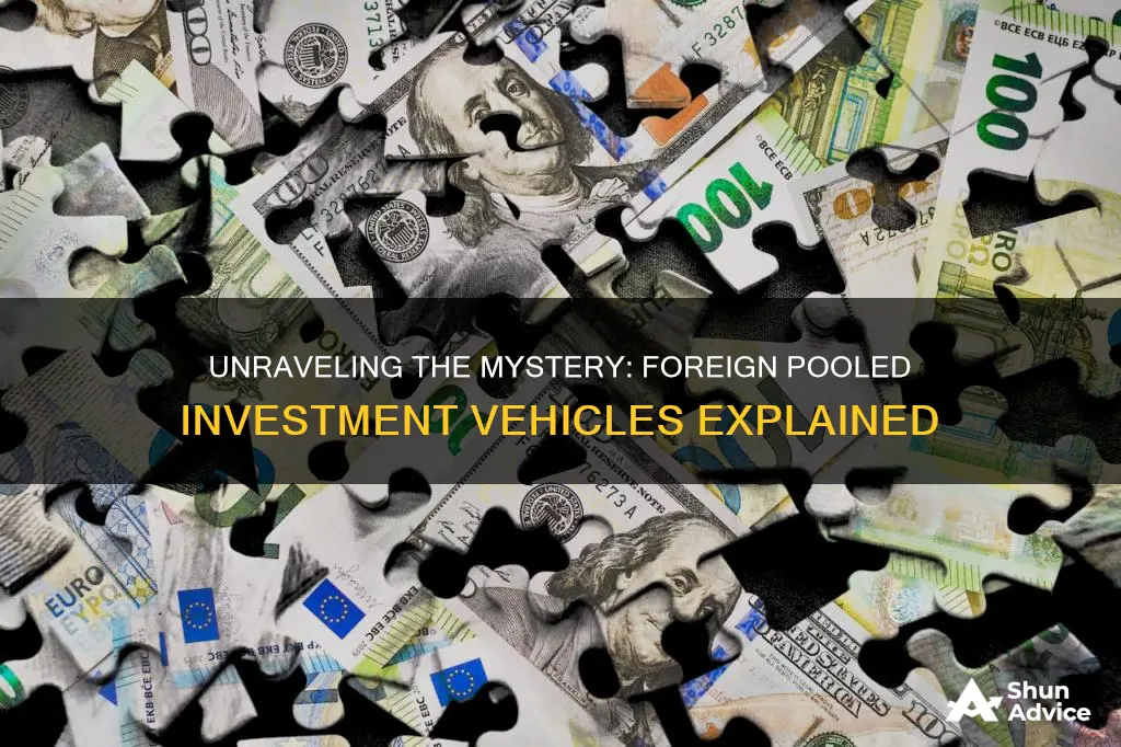 what is a foreign pooled investment vehicle