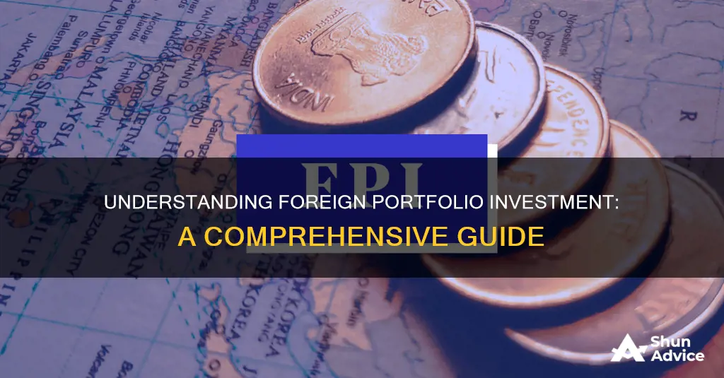 what is a foreign portfolio investment 1 point