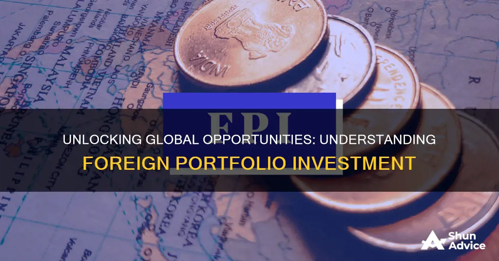 what is a foreign portfolio investment open study