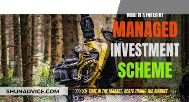 Forestry Managed Investment Schemes: How Do They Work?