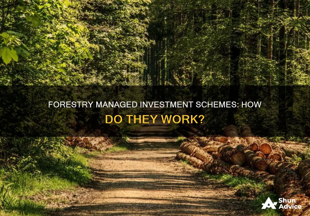 what is a forestry managed investment scheme