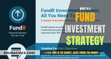 Fund Investment Strategies: Understanding the Basics