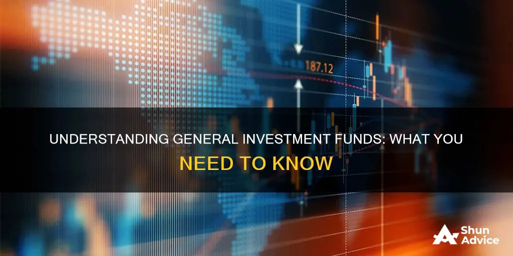 what is a general investment fund