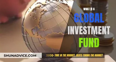 Global Investment Funds: What Are They?