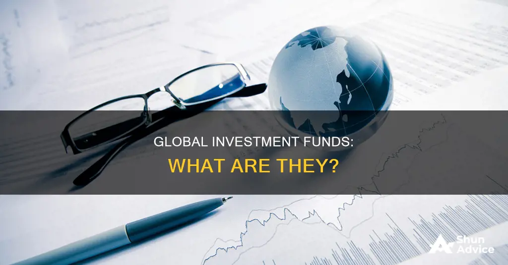 what is a global investment fund