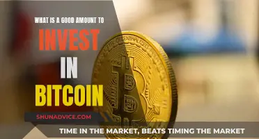 Bitcoin Investment: How Much Should You Invest?