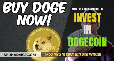 Dogecoin Investment: How Much Should You Risk?