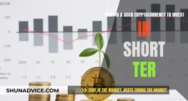 Short-Term Crypto Investment: Which Coins to Consider?