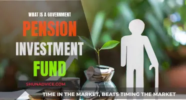 Pension Funds: Government Investment Strategies for Retirement Security