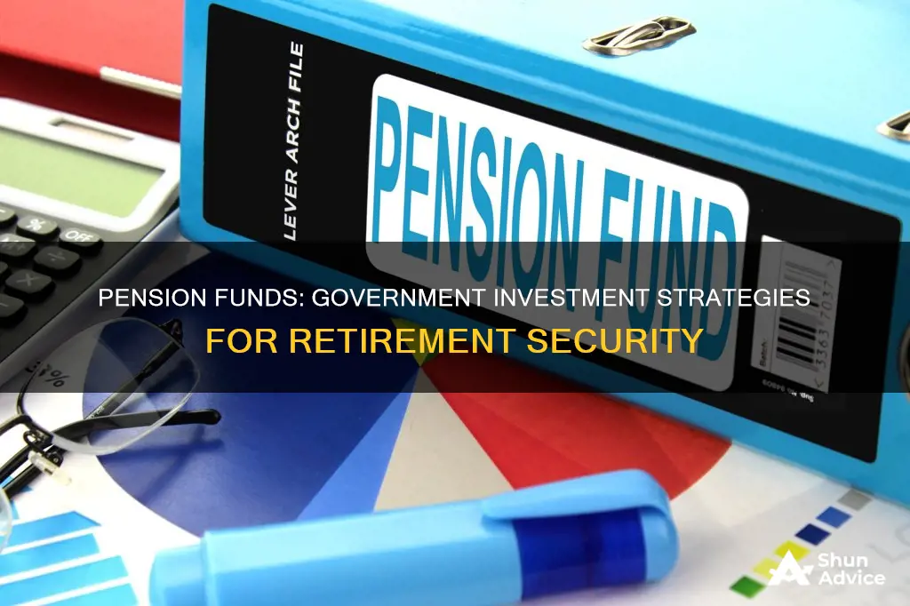 what is a government pension investment fund