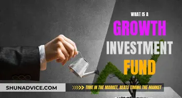 Growth Investment Funds: How to Invest and Grow Your Money