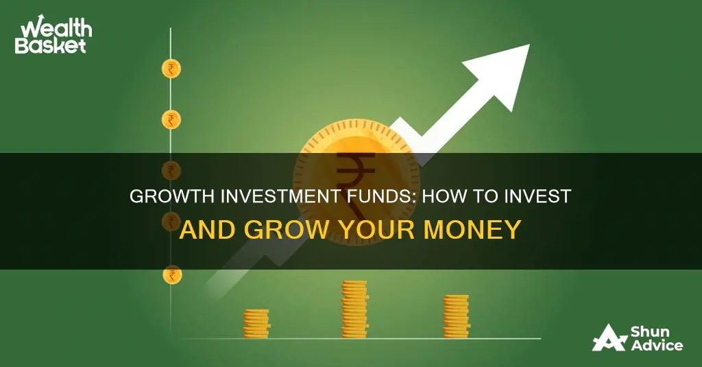 what is a growth investment fund