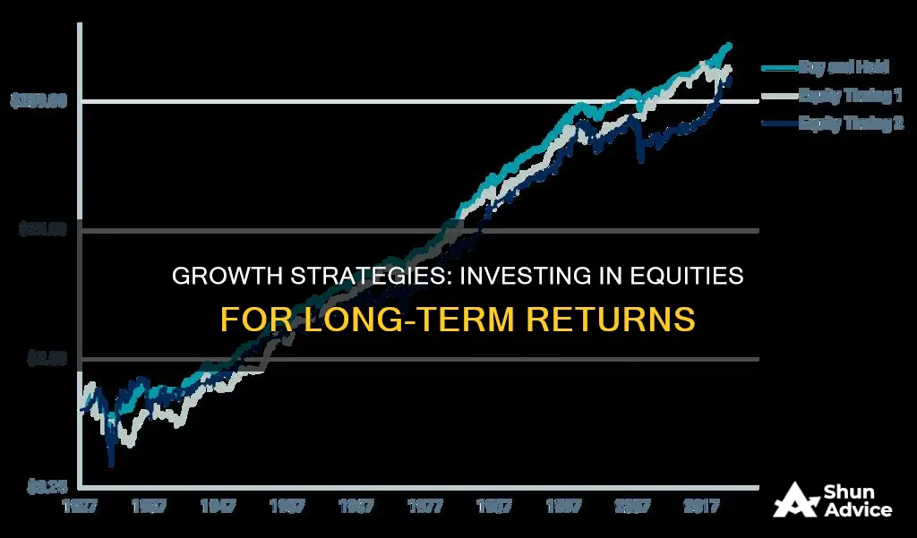 what is a growth strategy when investing in equities