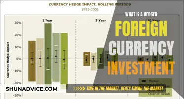 Understanding Hedged Foreign Currency Investments: A Comprehensive Guide