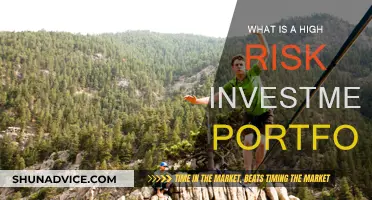 High-Risk Investment Portfolios: What You Need to Know