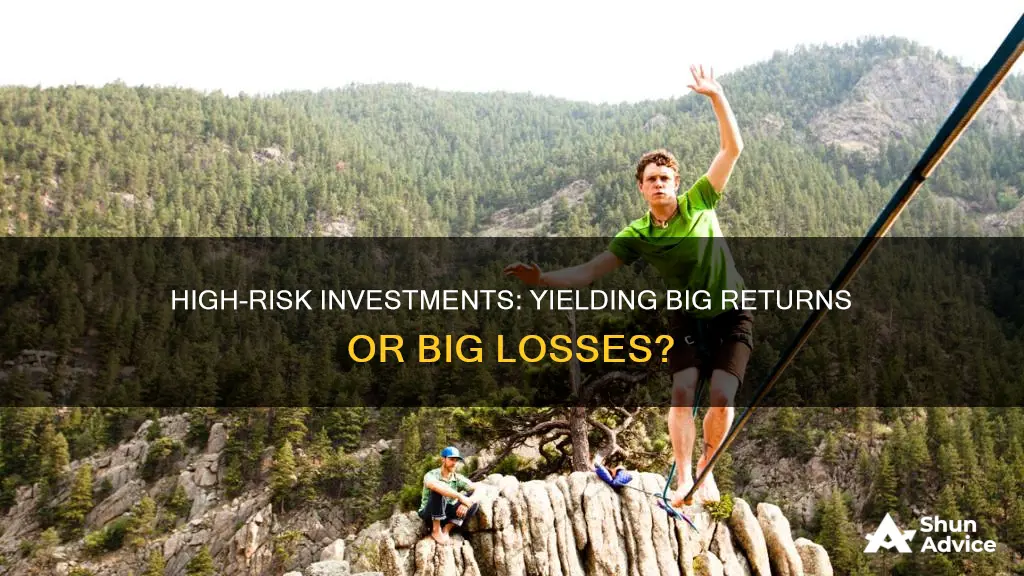 what is a high risk investment yeild