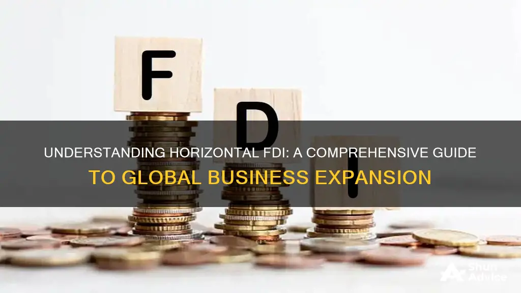 what is a horizontal foreign direct investment