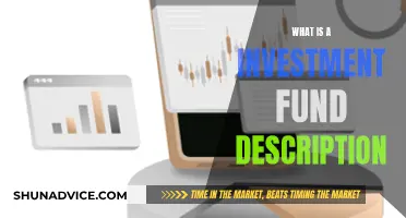 Understanding Investment Fund Basics: Description and Details