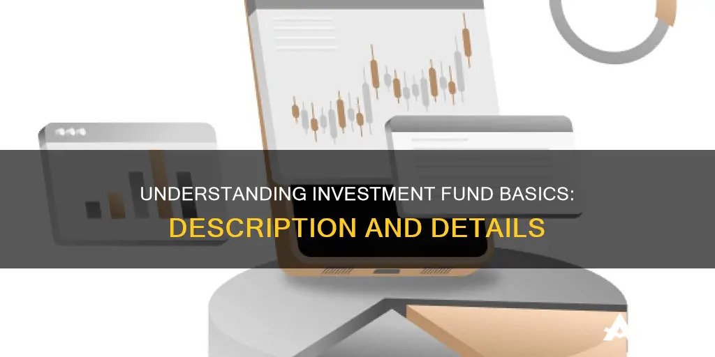 what is a investment fund description