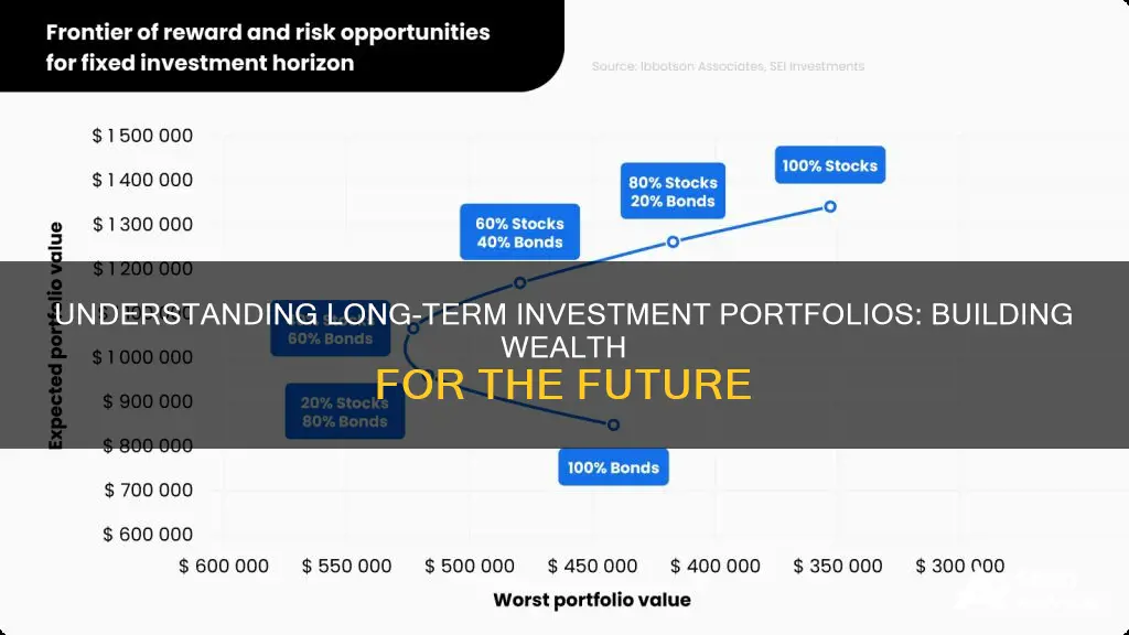 what is a long term investment portfolio