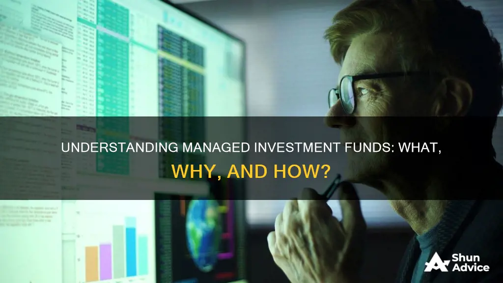 what is a managed investment fund