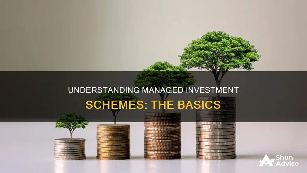 what is a managed investment scheme ato