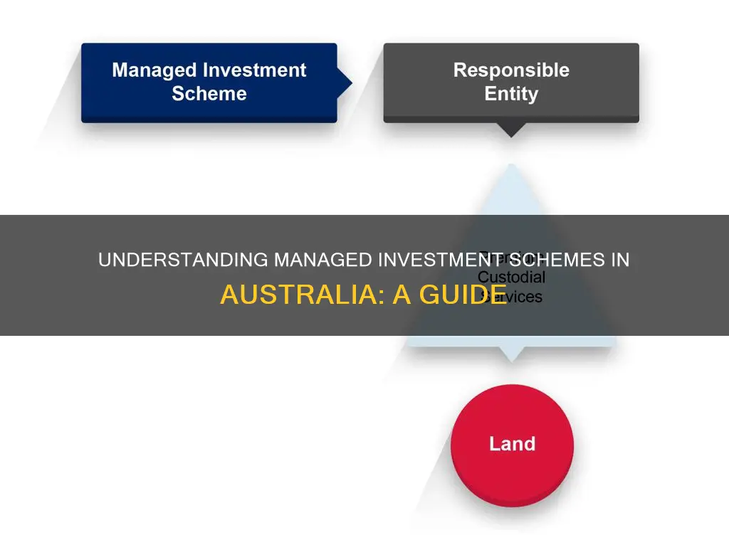 what is a managed investment scheme australia