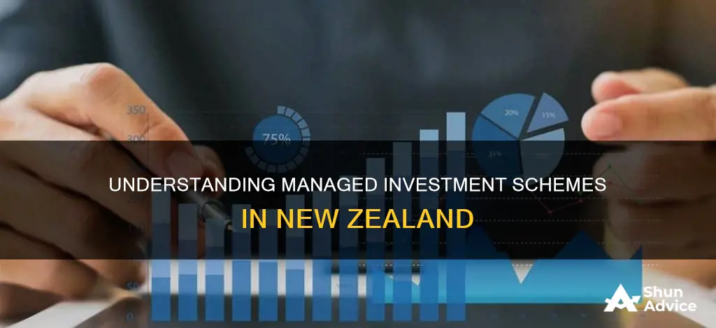 what is a managed investment scheme nz