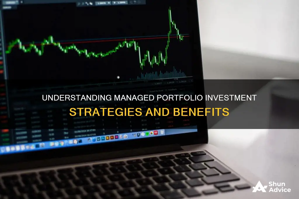 what is a managed portfolio investment