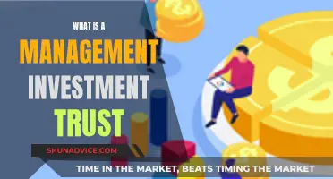 Understanding Management Investment Trusts: What You Need to Know