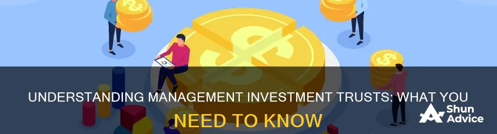 what is a management investment trust