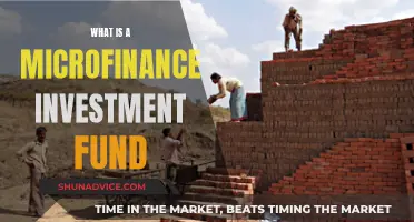 Microfinance Investment Funds: How Do They Work?