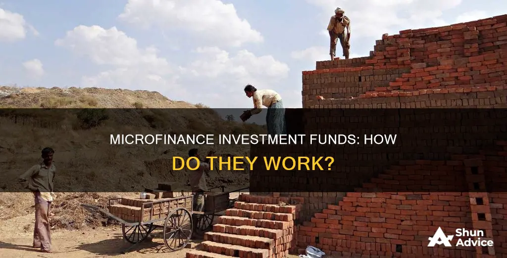 what is a microfinance investment fund