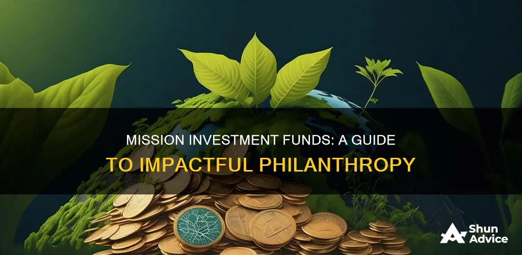 what is a mission investment fund