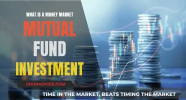 Money Market Mutual Funds: A Safe Investment Option?