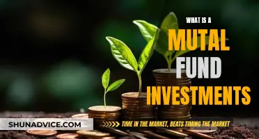 Mutual Fund Investments: What You Need to Know