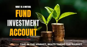 Mutual Fund Investment Accounts: What You Need to Know