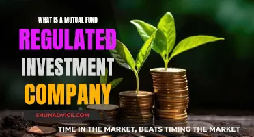 Mutual Fund Regulated Investment Company: What and Why?