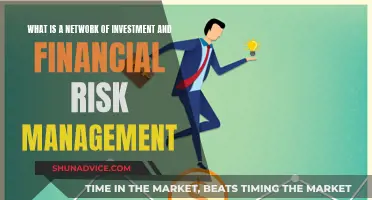 Investment Networks: Financial Risk Management Strategies