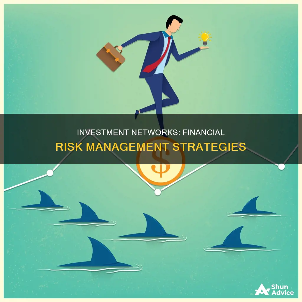 what is a network of investment and financial risk management