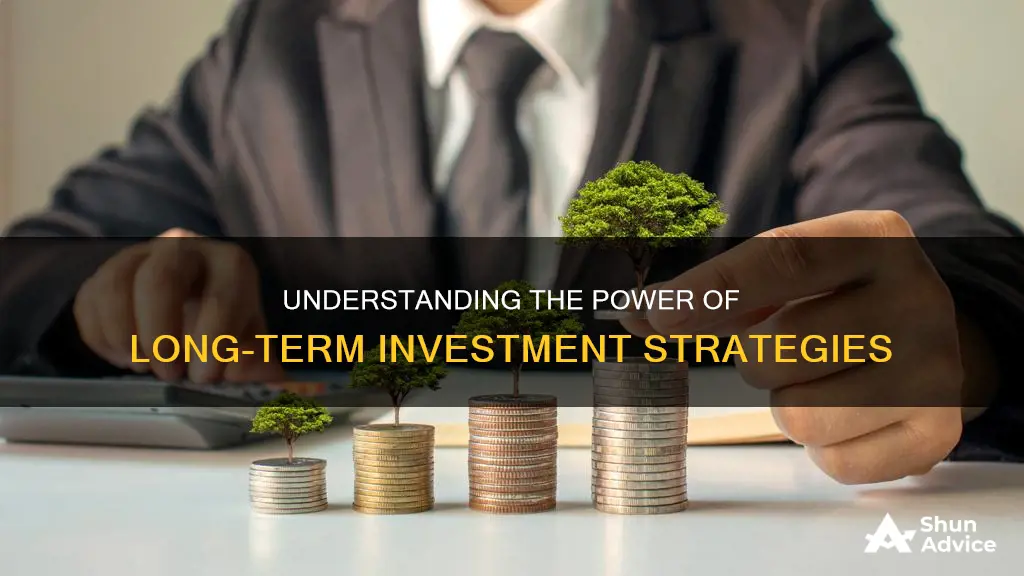 what is a ong term investment