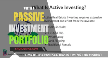 Passive Investment Portfolio: Strategy for Long-Term Wealth