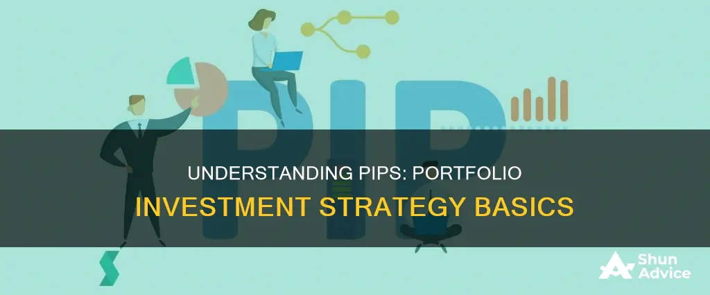 what is a pip on investment portfolio