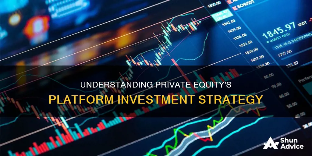 what is a platform investment private equity