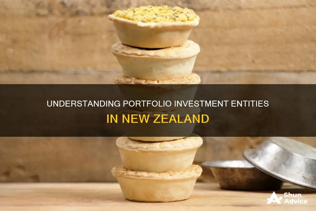 what is a portfolio investment entity nz