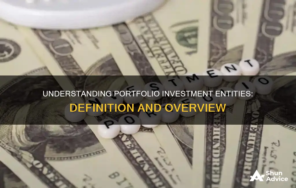 what is a portfolio investment entity