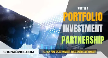 Understanding Portfolio Investment Partnerships: A Comprehensive Guide