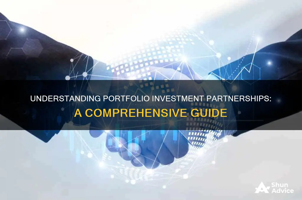 what is a portfolio investment partnership