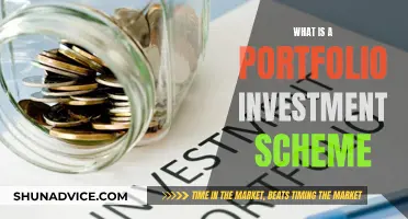 Understanding the Portfolio Investment Scheme: A Guide